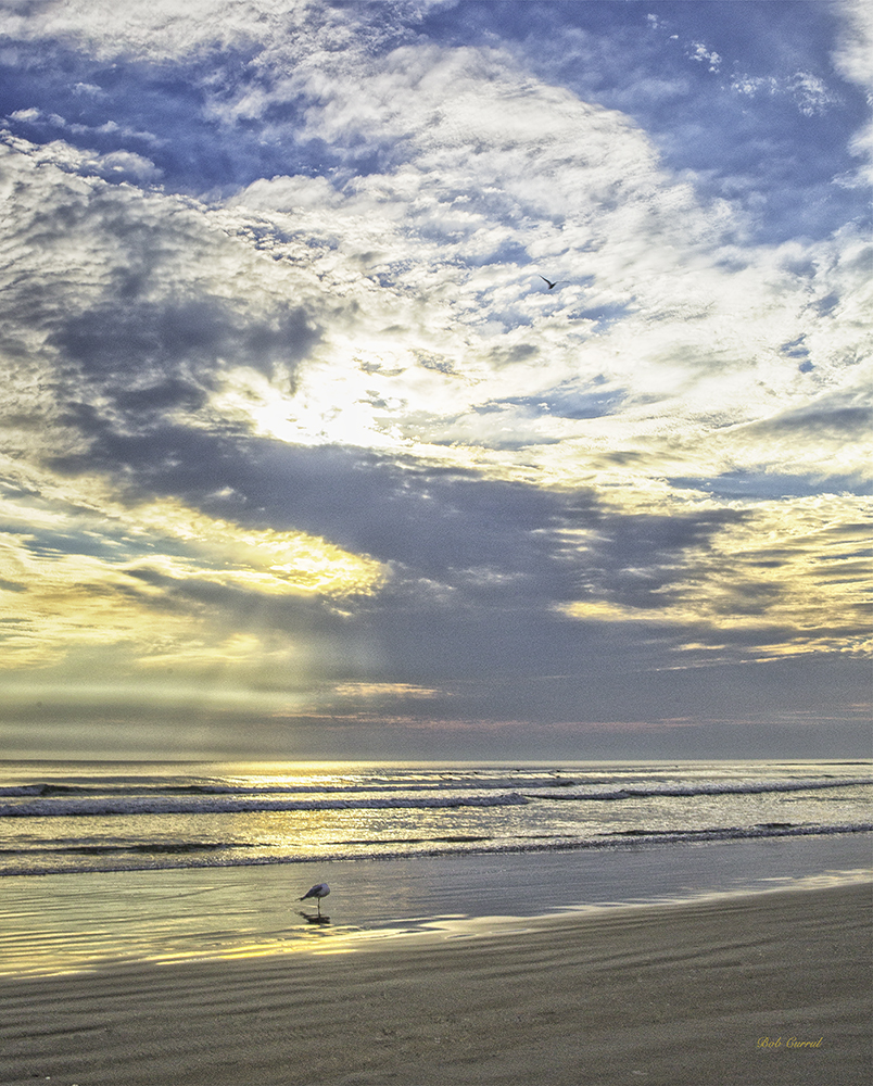 photo of Daytona Beach in morning light